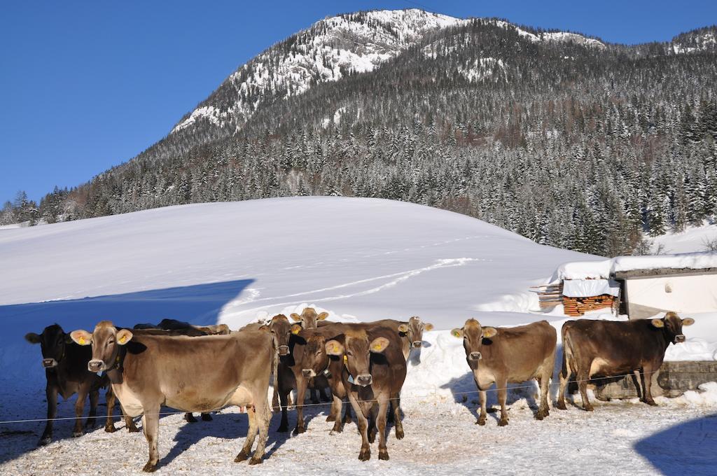 Bauernhof Haim-Schnepfleitner Pichl bei Aussee Экстерьер фото