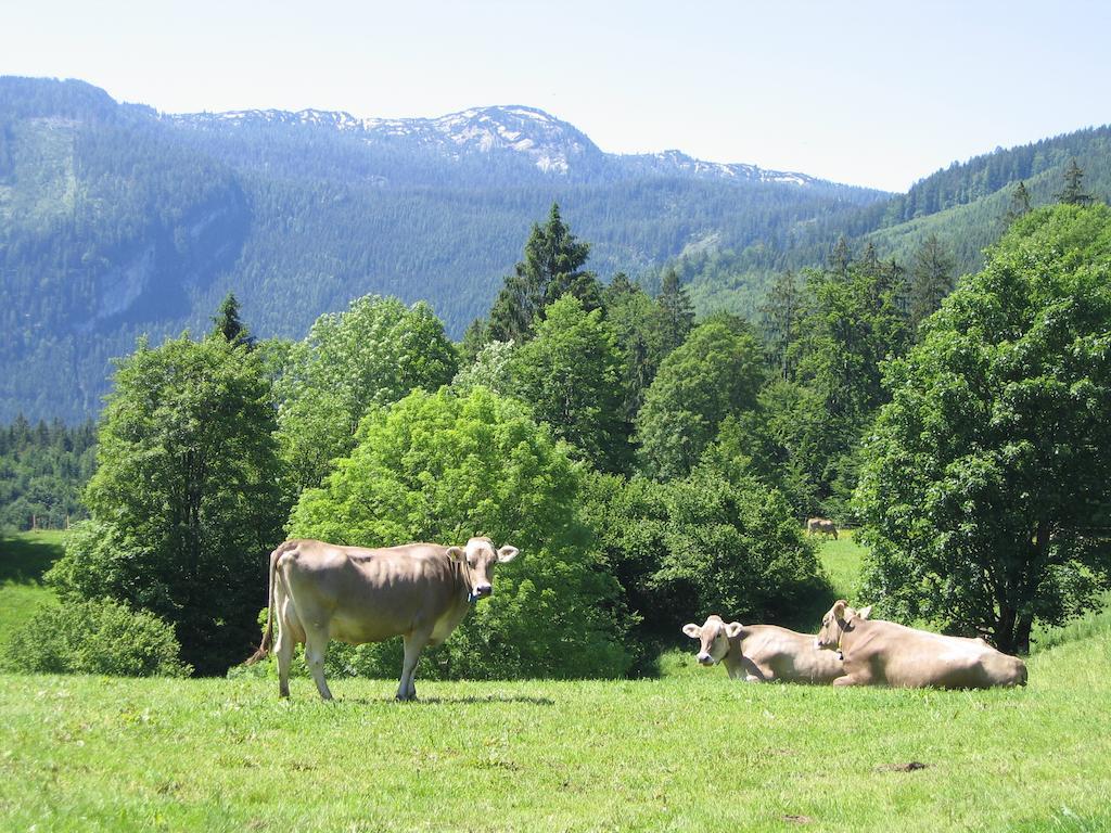 Bauernhof Haim-Schnepfleitner Pichl bei Aussee Экстерьер фото