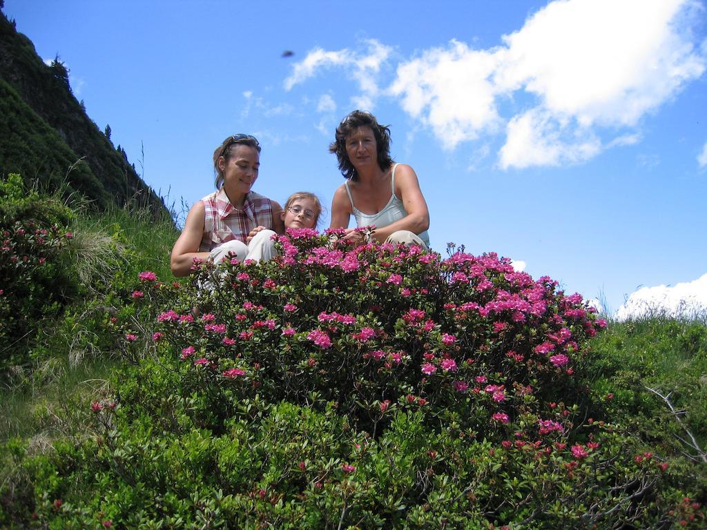 Bauernhof Haim-Schnepfleitner Pichl bei Aussee Экстерьер фото