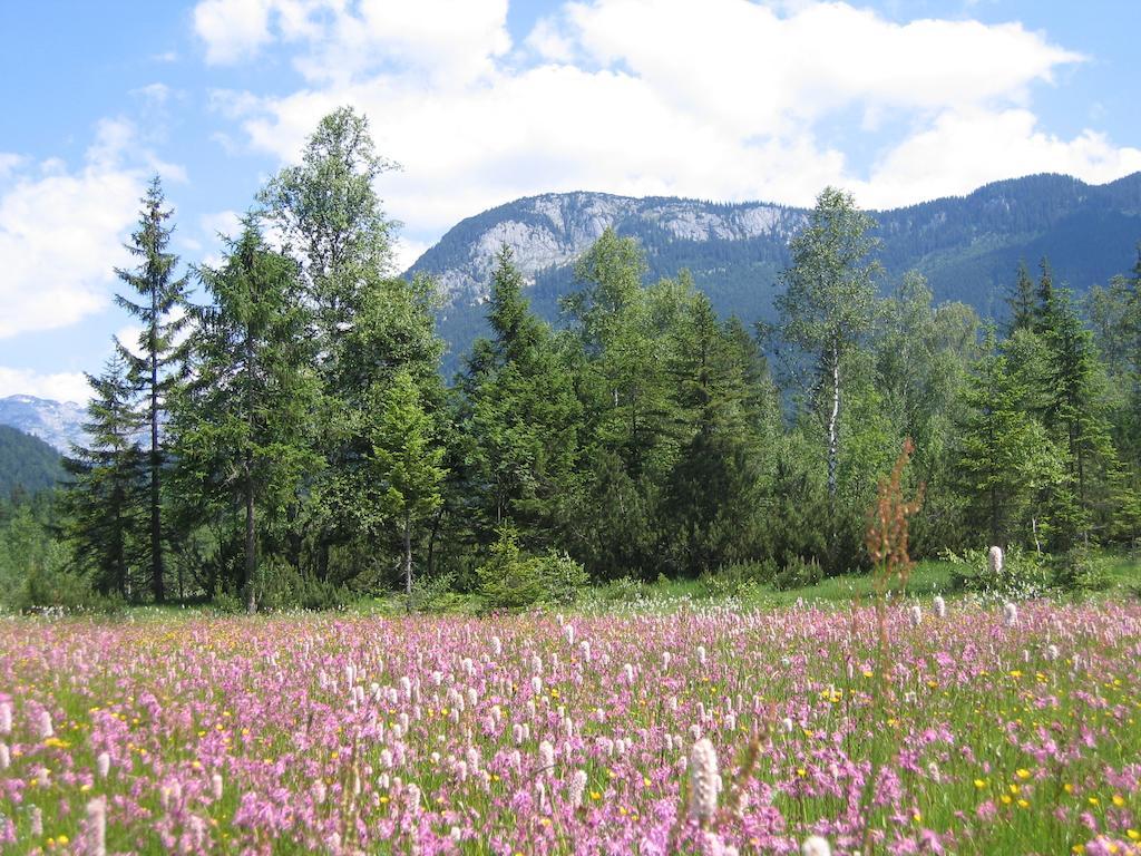 Bauernhof Haim-Schnepfleitner Pichl bei Aussee Экстерьер фото