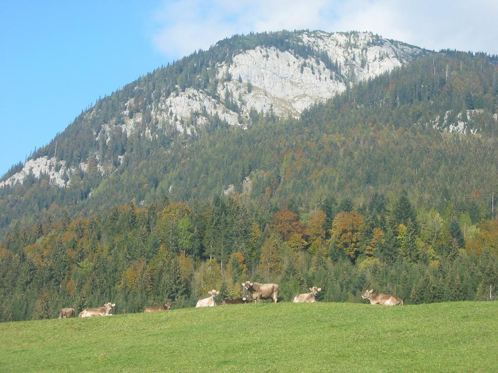 Bauernhof Haim-Schnepfleitner Pichl bei Aussee Экстерьер фото